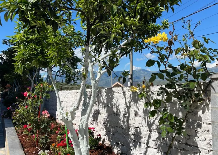 Amazing Familiar And Apartman Saranda